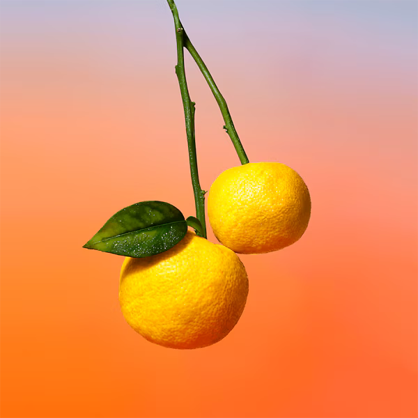 Louis Vuitton - on the beach